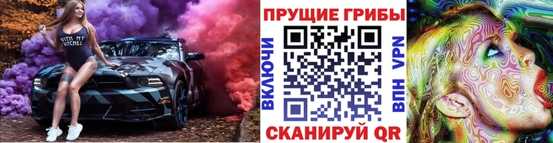 Псилоцибиновые грибы Psilocybine cubensis  Купить где  Чёрмоз 